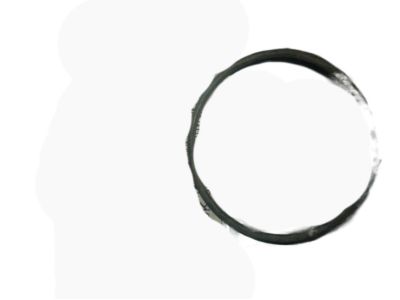 Toyota 90301-39003 Ring