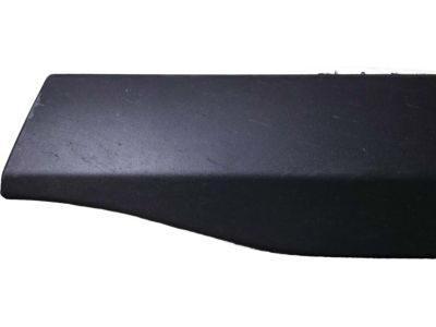 Toyota RAV4 Door Moldings - 75073-0R070