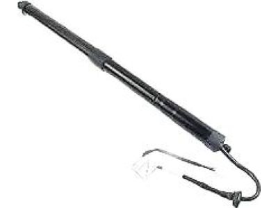 Toyota Liftgate Lift Support - 68920-0R020