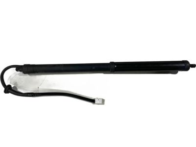 Toyota Liftgate Lift Support - 68920-0R020