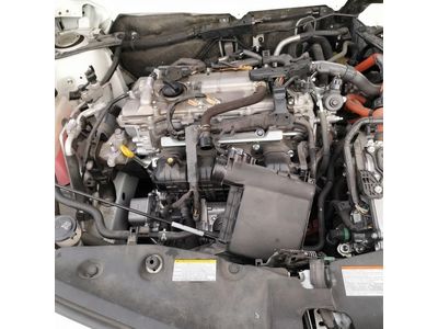 2014 Toyota Prius V Glove Box - 55550-47121-C0