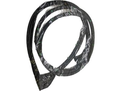 2019 Toyota Corolla Weather Strip - 67872-12590