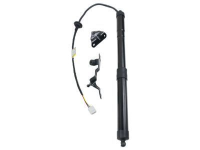 Toyota RAV4 Liftgate Lift Support - 68920-09012