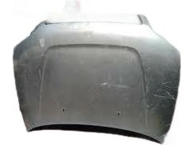53301-42012 Toyota Hood Sub-Assembly Product Photo 1 of 2