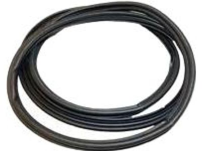 2002 Toyota Camry Weather Strip - 67872-33060
