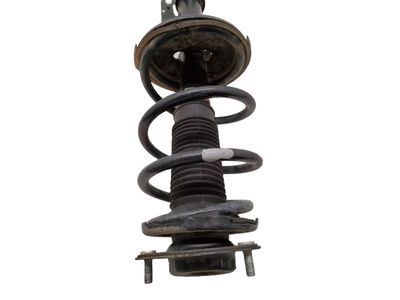 2001 Toyota Highlander Coil Springs - 48131-48230