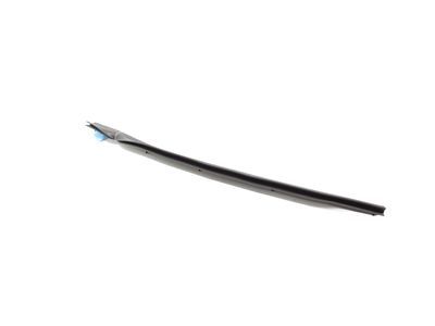 Toyota Mirai Door Seal - 67888-62010
