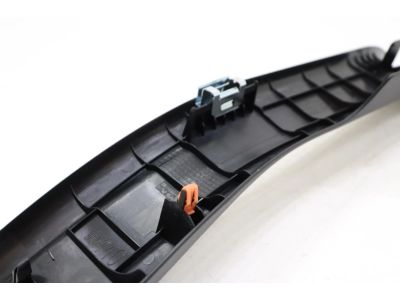 Toyota 67917-42110-C0