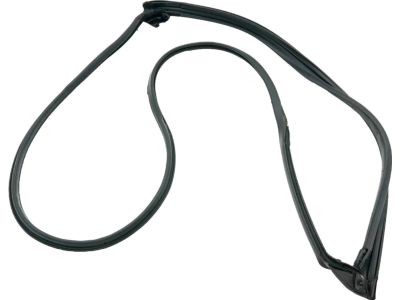 2023 Toyota Sienna Weather Strip - 67871-08040
