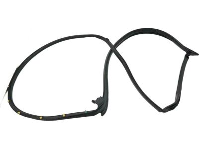 2023 Toyota Sienna Weather Strip - 67871-08040