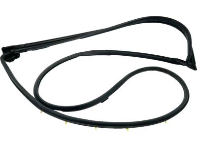 2023 Toyota Sienna Weather Strip - 67871-08040