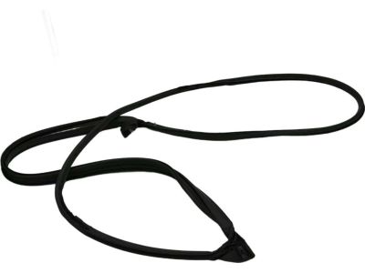 2023 Toyota Sienna Weather Strip - 67871-08040