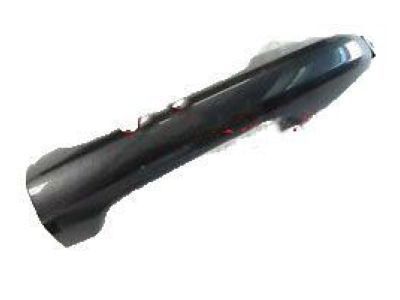 Toyota Tacoma Door Handle - 69211-0E010-D1