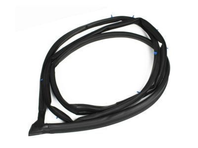 Toyota Echo Weather Strip - 67862-52010