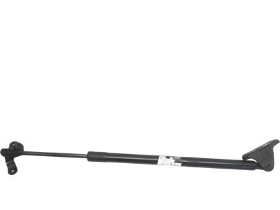 Toyota RAV4 Lift Support - 68950-0R110