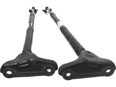 Toyota RAV4 Lift Support - 68950-0R110