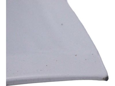 Toyota Land Cruiser Hood - 53301-60510