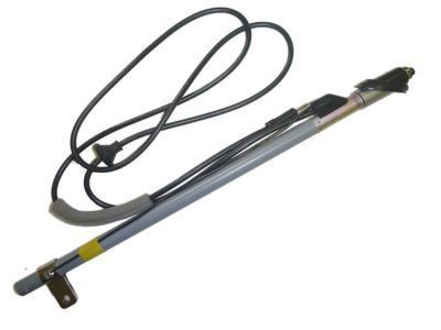 Toyota Pickup Antenna - 86300-89123