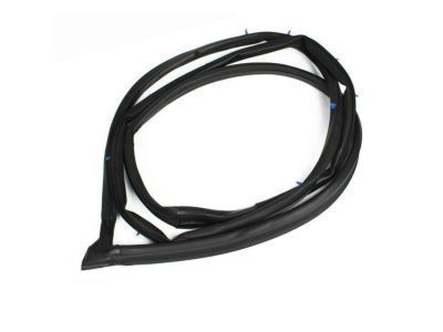 Toyota 62312-AA020 Weatherstrip, Front Door Opening Trim, LH