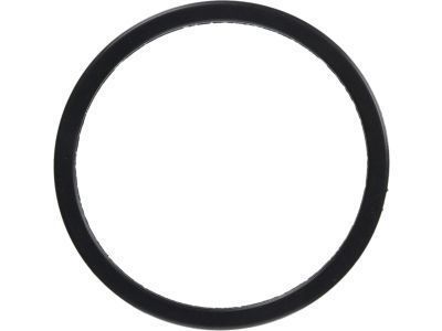 Toyota Solara Fuel Pump Seal - 77169-33010