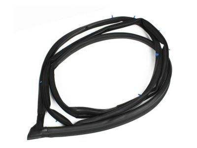 Toyota 67862-42041 Weatherstrip, Front Door, LH