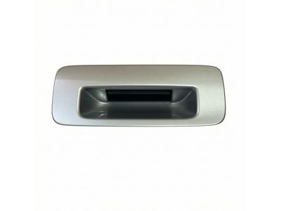2018 Toyota Sequoia Door Handle - 76802-0C010-B0