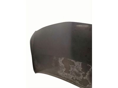 Toyota Hood - 53301-02210