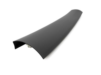 Toyota 67939-48020-C0