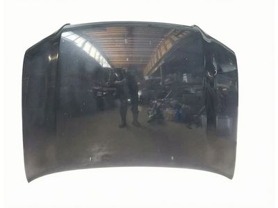 2006 Toyota Highlander Hood - 53301-48090
