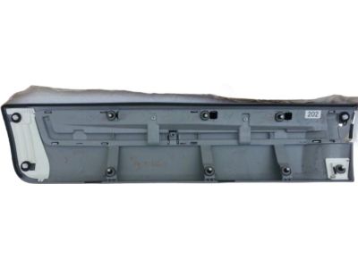 2014 Toyota Land Cruiser Door Moldings - 75076-60120-C0