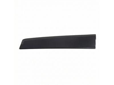2014 Toyota Prius Door Moldings - 75761-47020