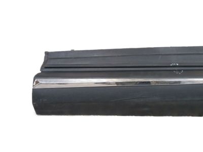 Toyota 75074-42021 MOULDING Sub-Assembly, F