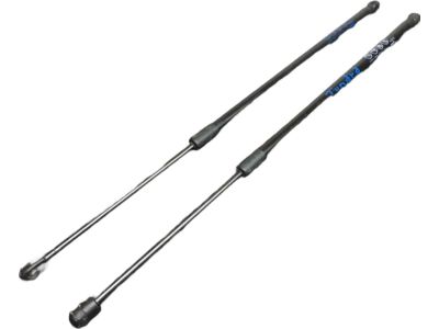 Toyota Tundra Lift Support - 53440-0C050