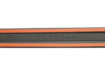 2004 Toyota Camry Door Moldings - 75731-AA080-A0
