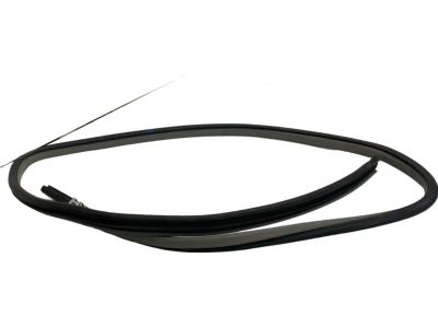 2009 Toyota Camry Weather Strip - 62332-06070-B1