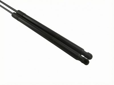 2018 Toyota Sienna Lift Support - 68960-08021