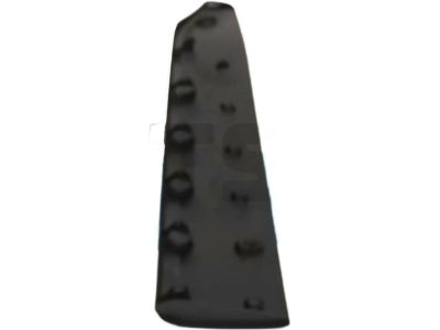 Toyota C-HR Door Moldings - 75732-F4010