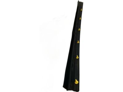 2019 Toyota RAV4 Weather Strip - 67873-0R030