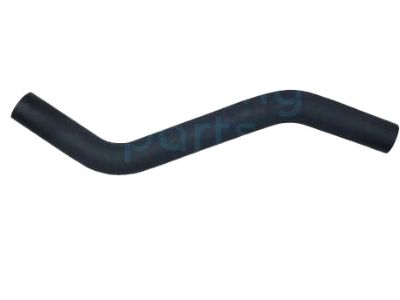 1999 Toyota Tercel Radiator Hose - 16572-11260