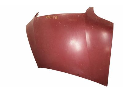 Toyota Sequoia Hood - 53301-0C020