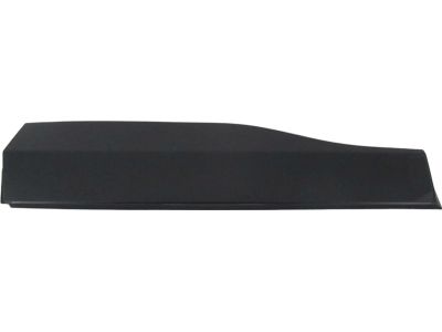 Toyota RAV4 Door Moldings - 75078-0R070