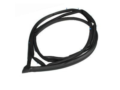 Toyota Land Cruiser Door Seal - 67862-60073