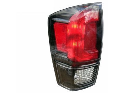 2020 Toyota Tacoma Back Up Light - 81560-04200