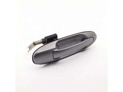 2002 Toyota Sequoia Door Handle - 69230-34020-B1
