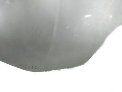 Toyota Sienna Hood - 53301-AE020