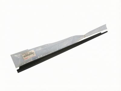 Toyota Prius Door Moldings - 75720-47010