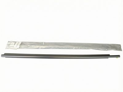 Toyota Prius Door Moldings - 75720-47010