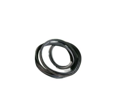 Scion iQ Weather Strip - 67881-74010