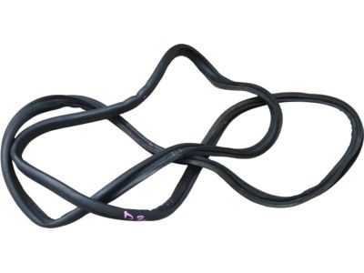 Toyota Camry Weather Strip - 64461-AA030