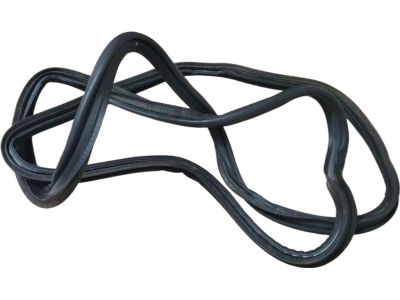 Toyota Camry Weather Strip - 64461-AA030